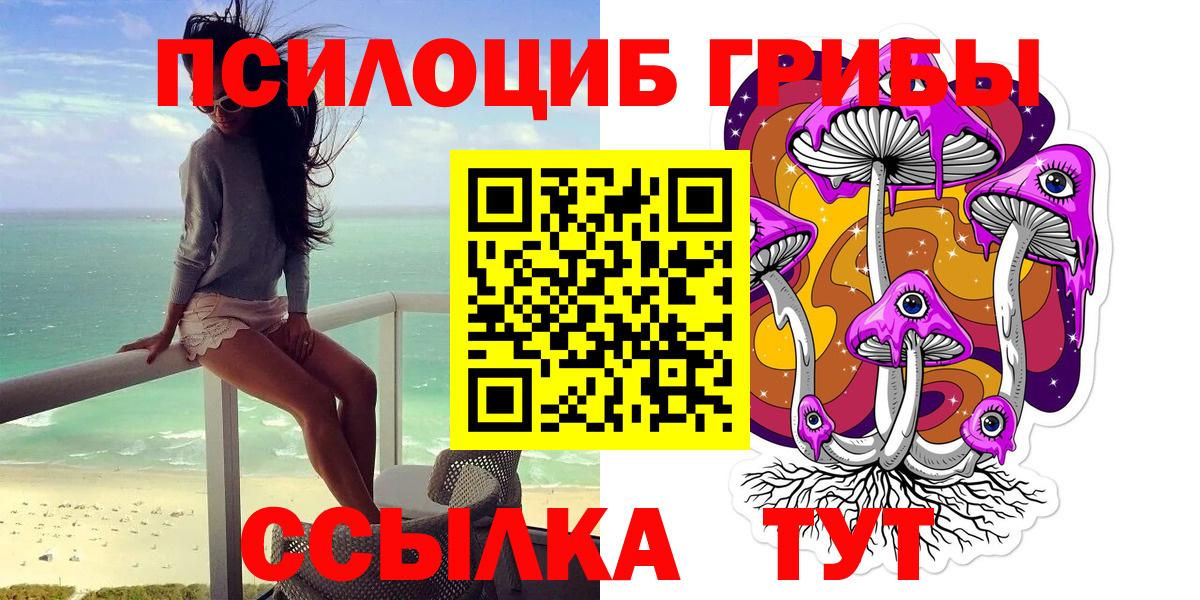 Чита  Галлюциногенные грибы Cubensis  Вход с VPN 
